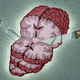 Illustration for article titled If You Were a Zombie, Whose Brains Would You Eat?